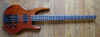 Hohner - The Jack.jpg (146380 octets)